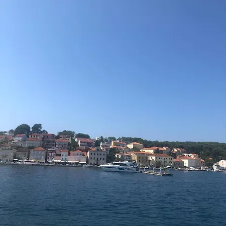 Palunko